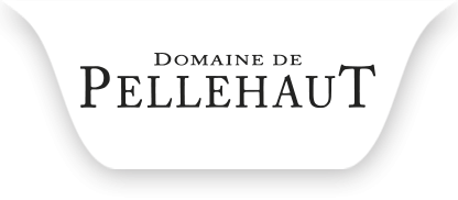 Logo Domaine de Pellehaut